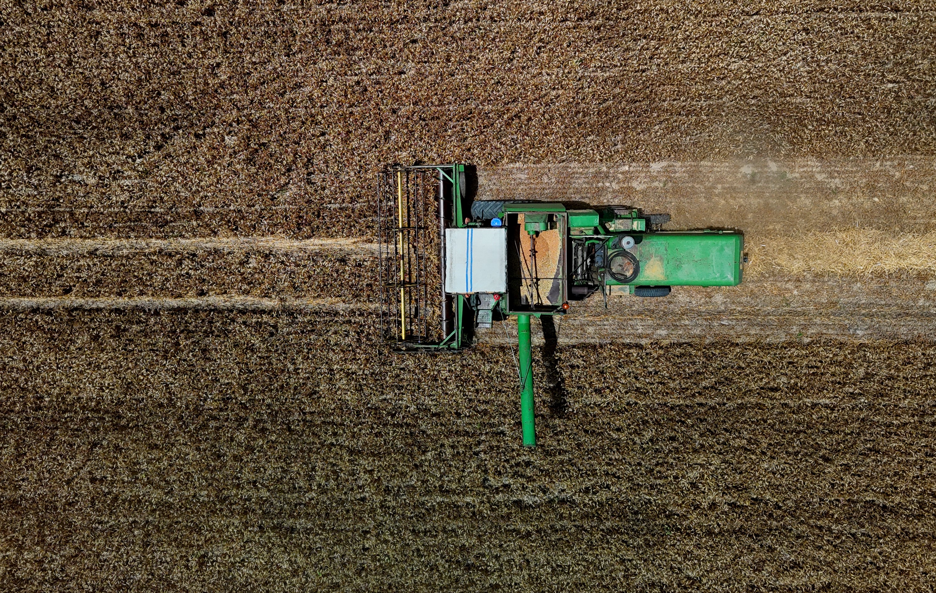 A W448802 03