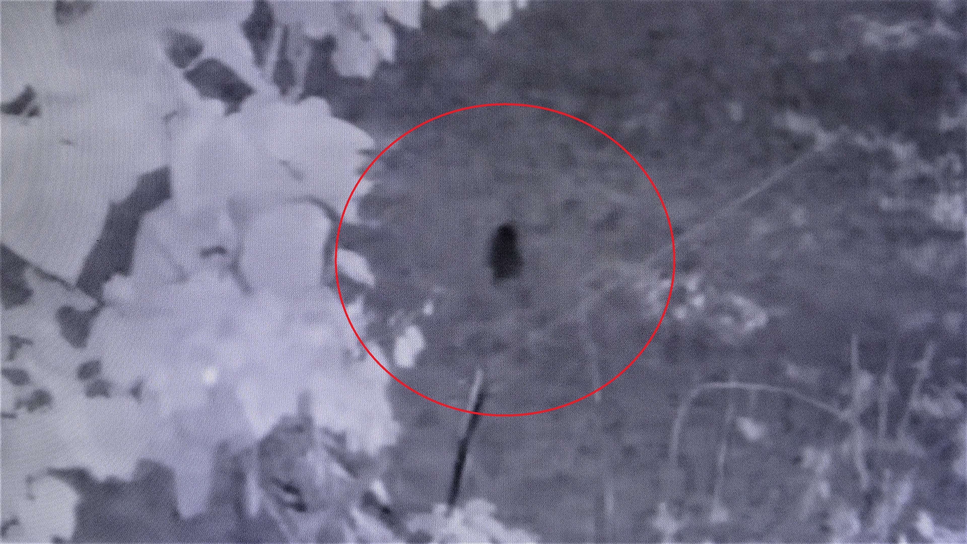 A W519626 05