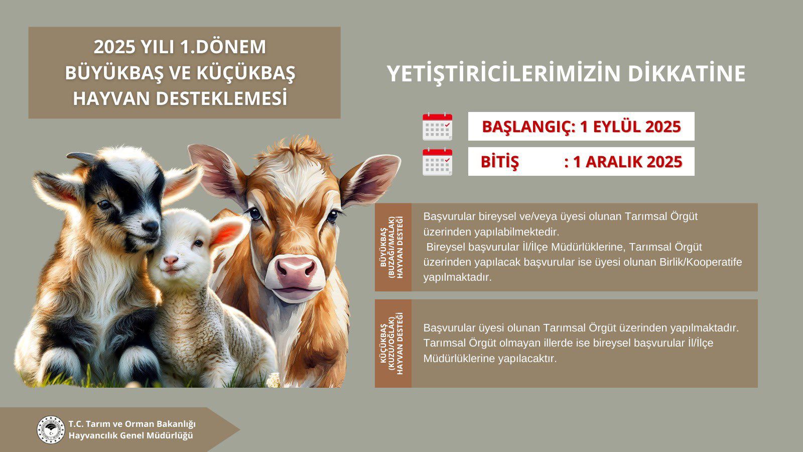 Whatsapp Image 2025 08 28 At 09.57.22