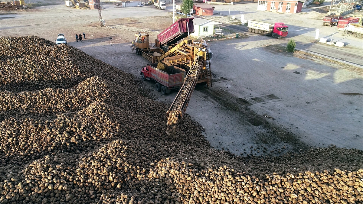 20201112 2 45328603 59701388 Web