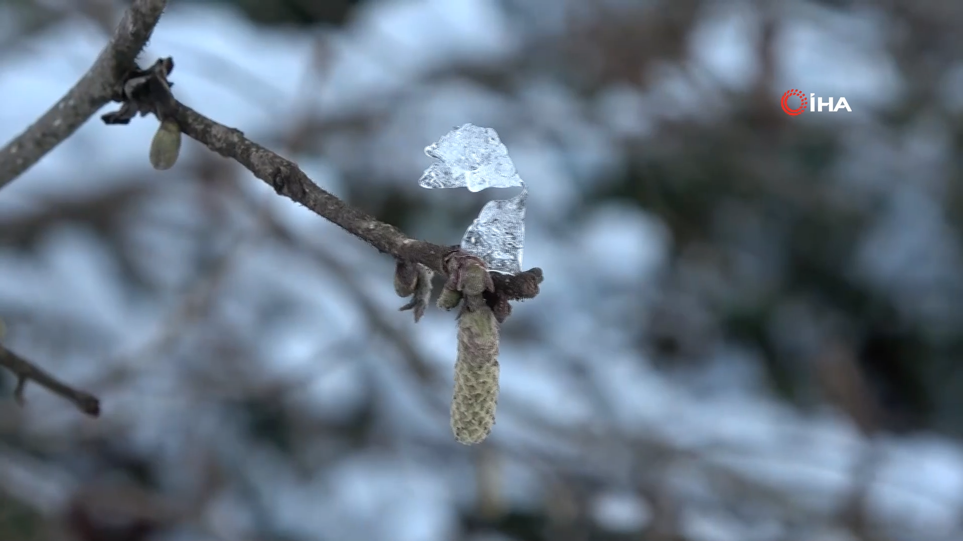 Kar Yaradi Ses Açççç.mp4.00 00 25 04.Still001