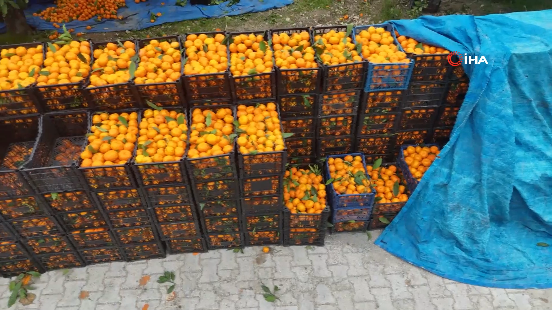 Mandali̇na Hatay Ses Aççç.mp4.00 00 42 03.Still001