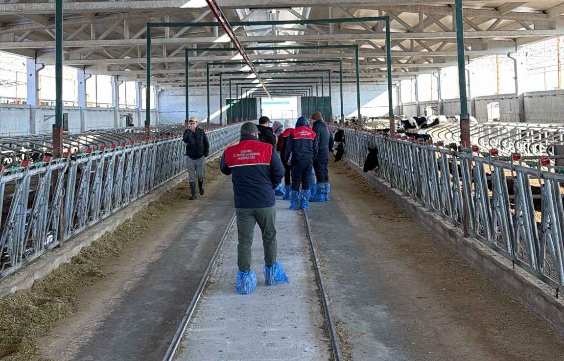 Whatsapp Image 2026 01 02 At 15.27.21