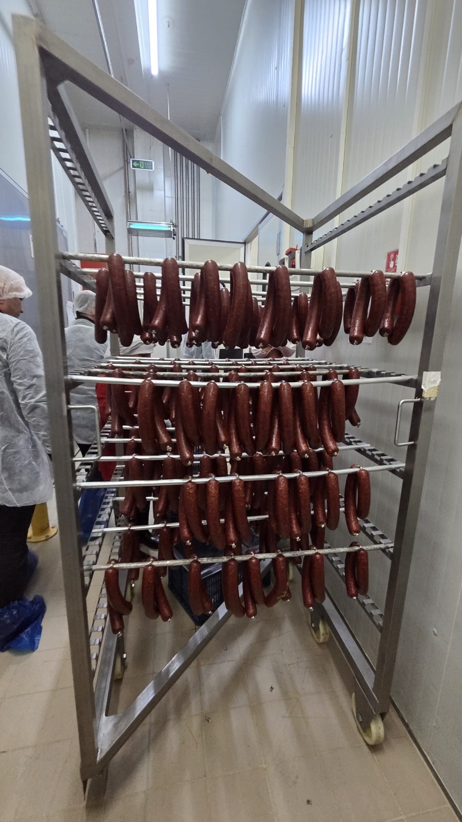 Whatsapp Image 2026 01 24 At 12.50.26