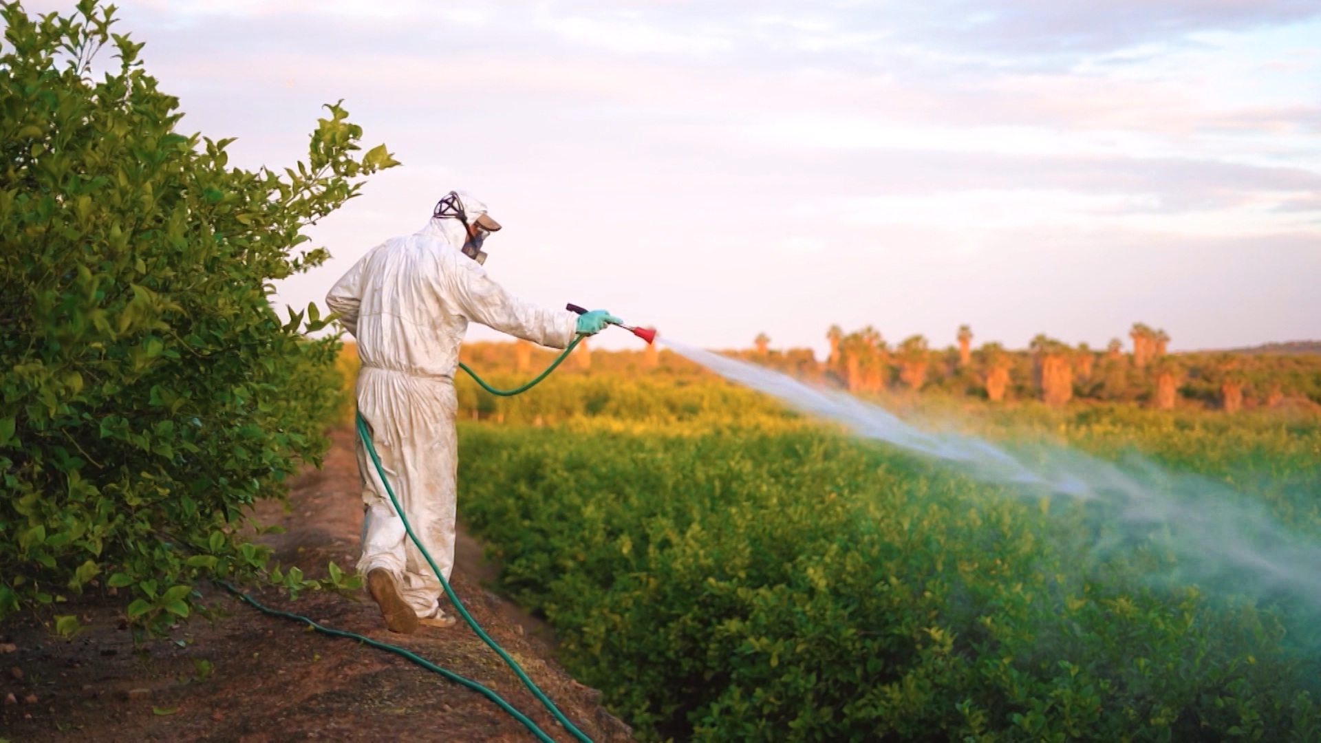 İlaçlama .Mpg.00 01 02 00.Still001