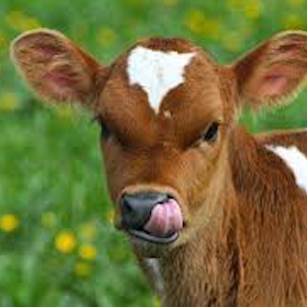 Sequence 29.00 04 50 17.Still169