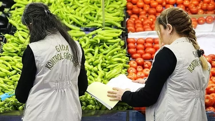 69E5De477370607E7Db386A6