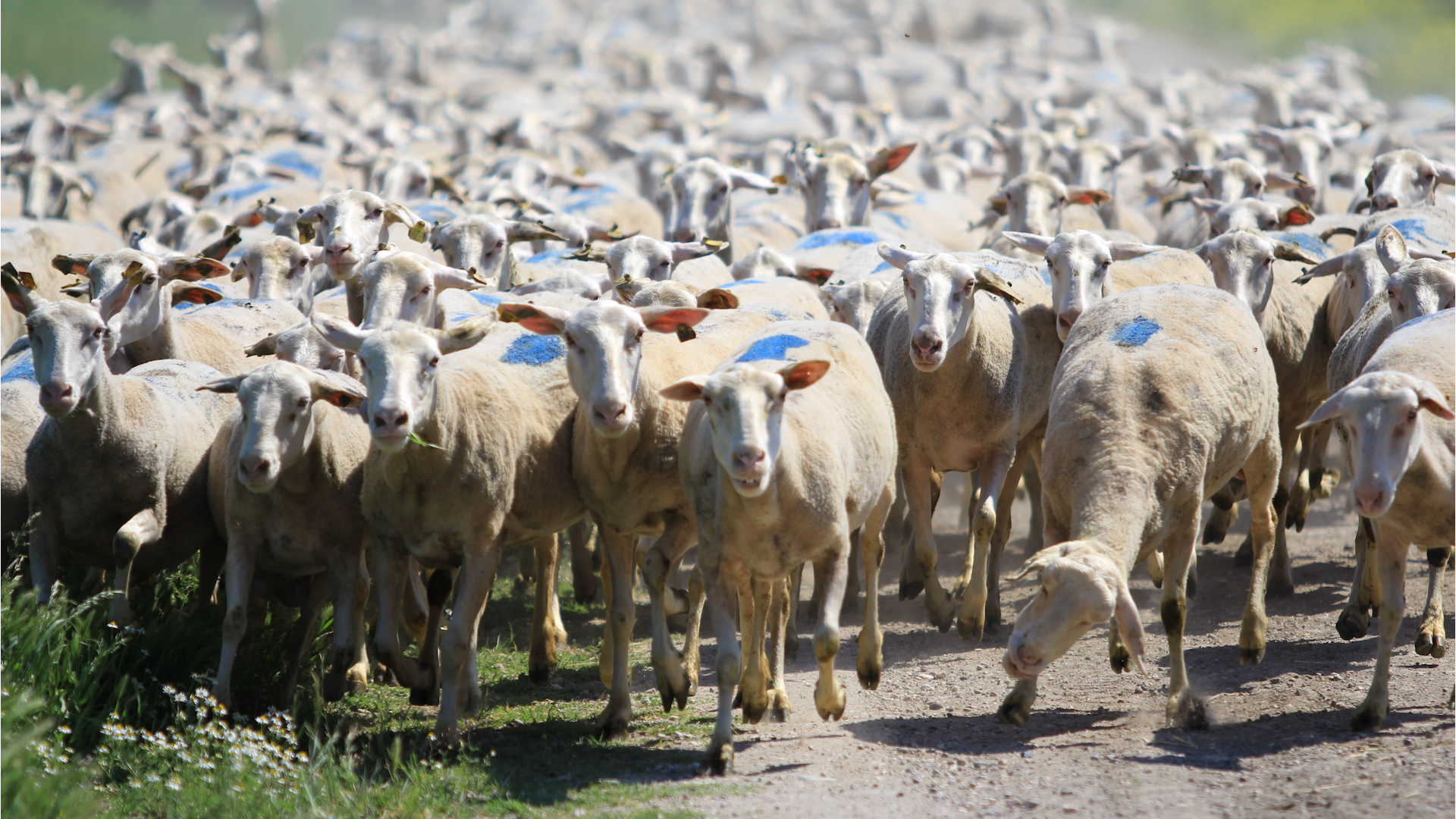 D S F.00 12 11 17. Still2240