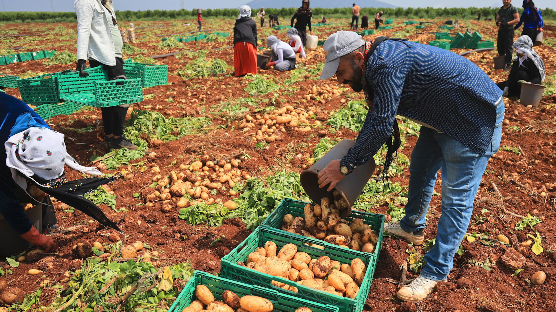 D S F.01 01 20 01. Still1126