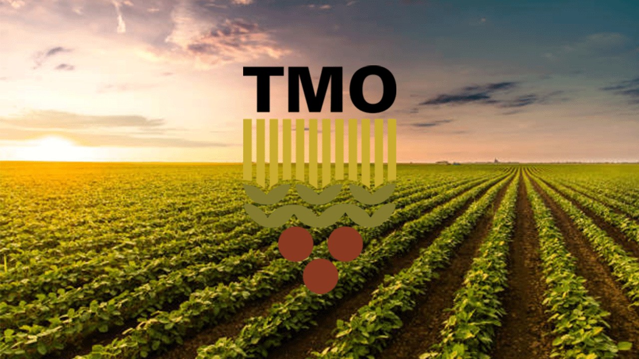 TMO 2026 hububat fiyatlarında o detay öne çıktı!