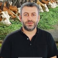 Davut Karaman