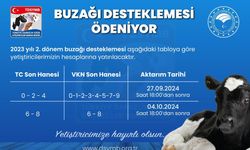 Buzağı Destekleri Ödeniyor, Kim Hangi Tarihte Alacak