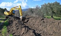 Manisa’da tarım arazileri koruma altında