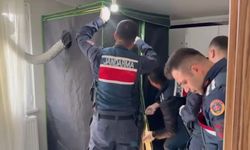 Elbise dolabından uyuşturucu serası çıktı: 4 kişi tutuklandı