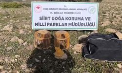 Kaçak keklik avına 63 bin lira ceza
