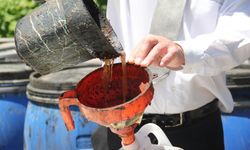 Kokarca ile Mücadelede Yeni Dönem: Balık Atıklarından Sıvı Gübre