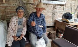İstanbul’dan Memlekete Dönüp Salep Yetiştirmeye Başladılar