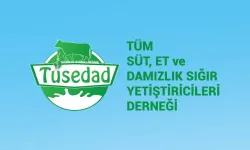 TÜSEDAD: Sıcak Çiğ Süt Tavsiye Fiyatı En Az 21 TL Olmalı