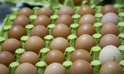 Resmi Gazete'de Yayımlandı: Yumurta İhracatına Düzenleme