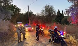 Aydın’da Jandarma İncir Hırsızlarına Göz Açtırmıyor
