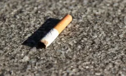 Bolu'da Yere Çöp Atanlar Artık Yandı! Dudak Uçuklatan Ceza Geliyor