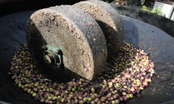 Ayvalık’ta 200 Yıllık Taş Baskı Mirası: Zeytinyağında Unutulan Yöntem Yeniden Hayat Buldu