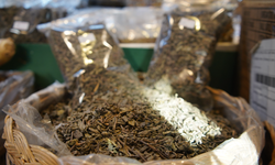 Soğuk Havalarda Gizli Kalkan