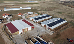 Devlet Desteğiyle 35 Büyükbaştan 300 Başlık Modern Çiftliğe