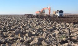 Şırnak’ta Taşlık Araziler Tarıma Kazandırılıyor: Ekonomiye 350 Milyon Liralık Katkı