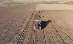 TZOB Açıkladı: 2025’te Limon Zam Şampiyonu