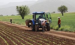 Çiftçi Desteklerinde Yeni Dönem: Bitkisel Üretim Desteklerinin Usul ve Esasları Değişti