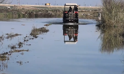 Amik Ovası’nda Kuraklıktan Sele Uzanan Tablo