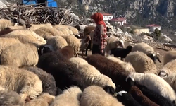 Üniversiteyi Bırakıp Köye Döndü: Yörük Kızı Üretimin Başında