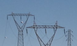 Yargıtay’dan Kamulaştırma Davalarında Emsal Faiz Kararı