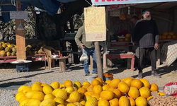 Tohumlar Kaybolurken O Ortaya Çıktı: Kavuncu Dede