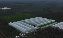 Lodos Vurdu, Büyükşehir Çiftçiye Can Suyu Oldu