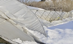 Saniyelerle Kurtuldu: Kar Altında Kalan Çiftçi