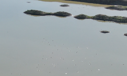 Yağışlar Barajları Toparladı, Yağmur Bombasına Bilimden Uyarı