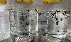 Türkiye’nin İlk Kamu Sülük Merkezi Dikkat Çekiyor