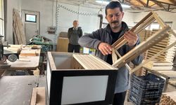 Takım Renkli Kovanlar Arıcılıkta Yeni Moda