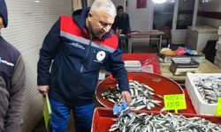 Beyşehir’de Usulsüz Balık Avcılığına Sıkı Denetim