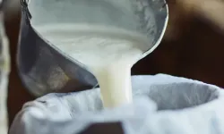 Gürer: “ USK Çiğ Süt tavsiye fiyatı 22,22 TL süt inekçiliği yapanın maliyet fiyatı altında”dedi.