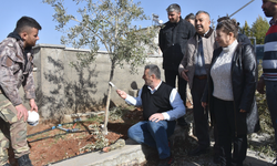 Şahinbey’de Çiftçiye Budama Desteği: Verim Hedefleniyor