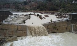 Kuruyan Deliçay Yeniden Çağladı, Çiftçi Sevindi