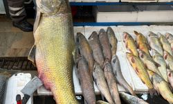 Batman Tezgahında Dev Turna: Gören Telefona Sarıldı