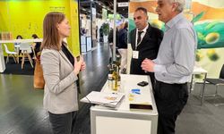 Kilis Zeytinyağı Dünyaya Açıldı: 3 Ülkede Raflarda