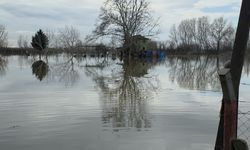 Edirne Ovaları Taşkın Sonrası Hâlâ Sular Altında