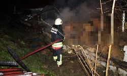 Ünye’de Ahır Yangını: 27 Büyükbaş Hayvan Telef Oldu