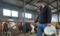 Yem Desteği Nefes Aldırdı: Üretici Maliyetlerden Kurtuldu
