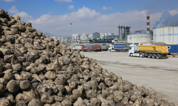 KONYA ŞEKER’DEN ÜRETİCİYE TOPLAM 12 MİLYAR 780 MİLYON 545 BİN TL’LİK DEV ÖDEME